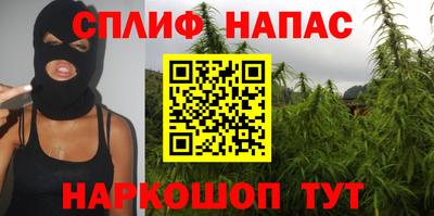 гашик Камышлов